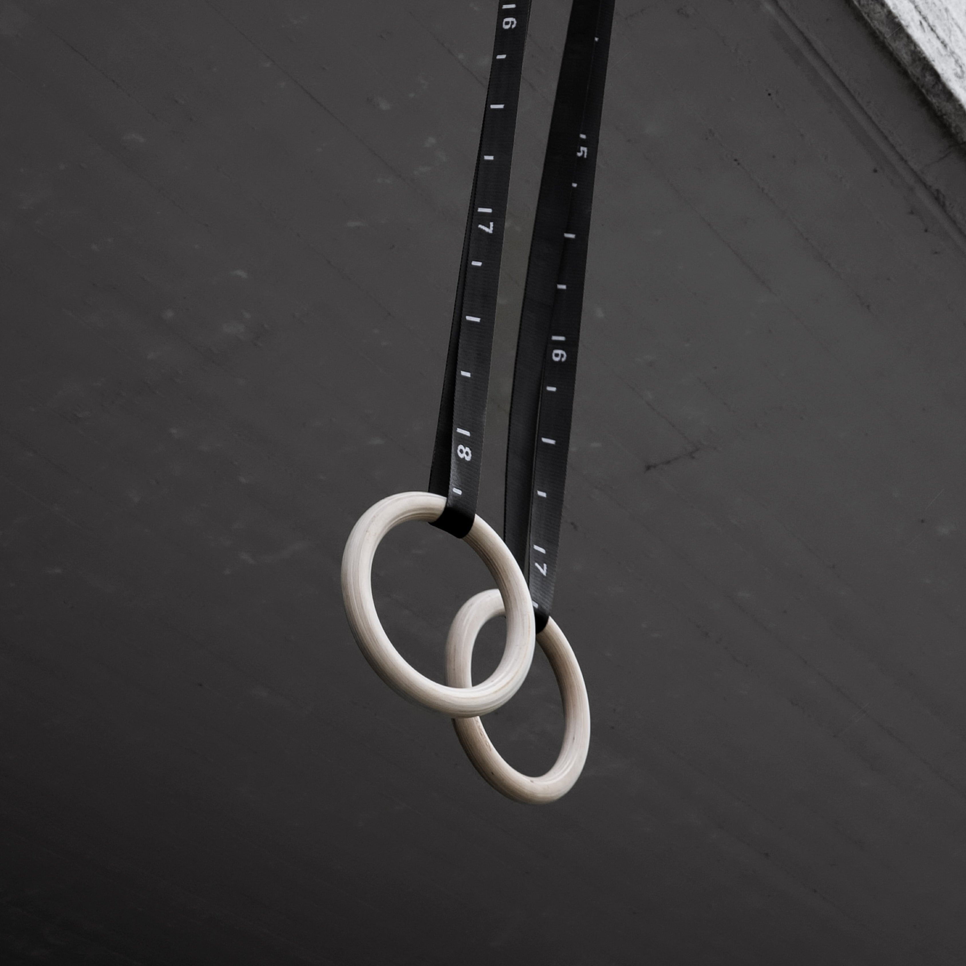 Premium_Gym_Ringen_1_10