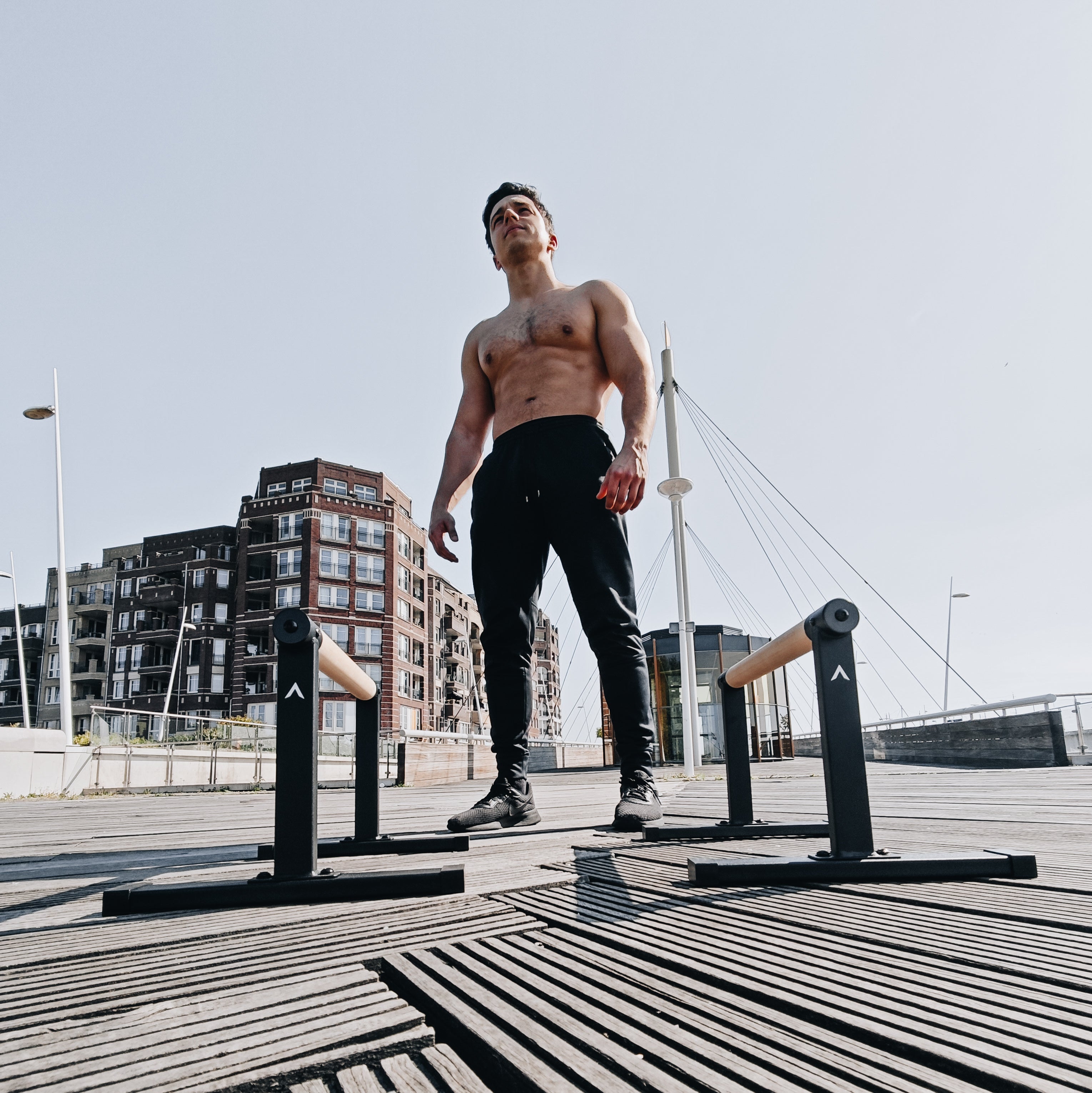 Premium Parallettes Large