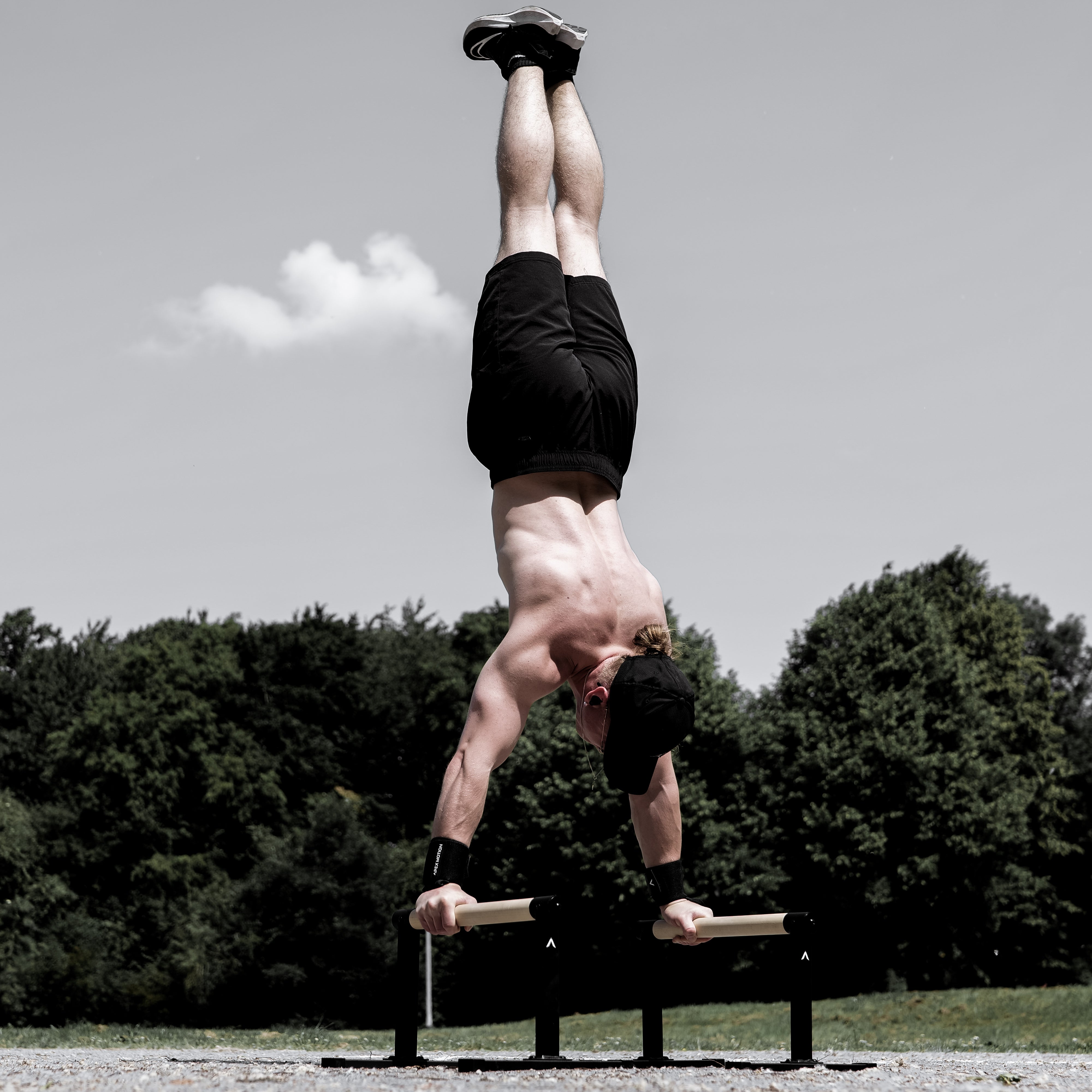 Premium Parallettes Large