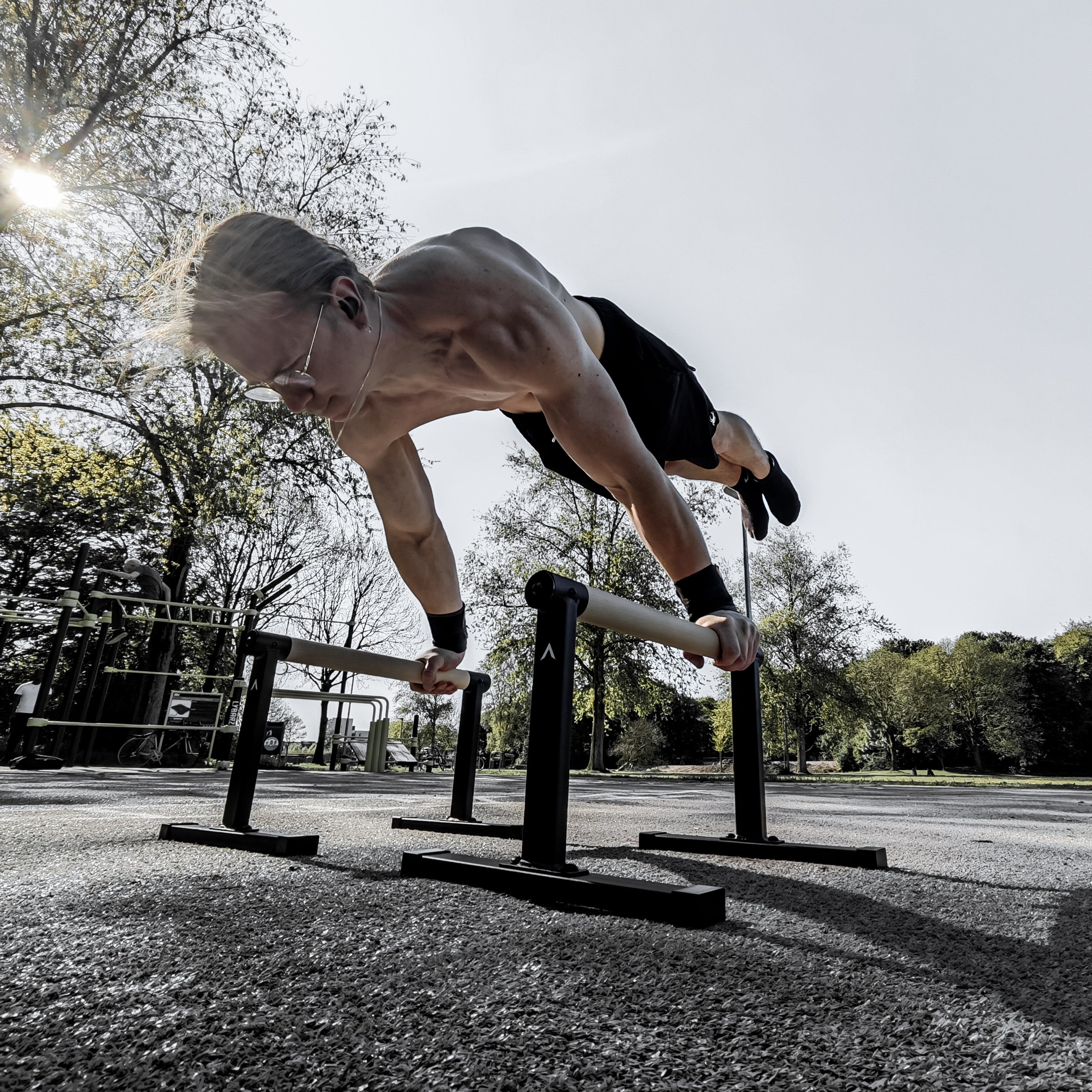 Premium Parallettes Large