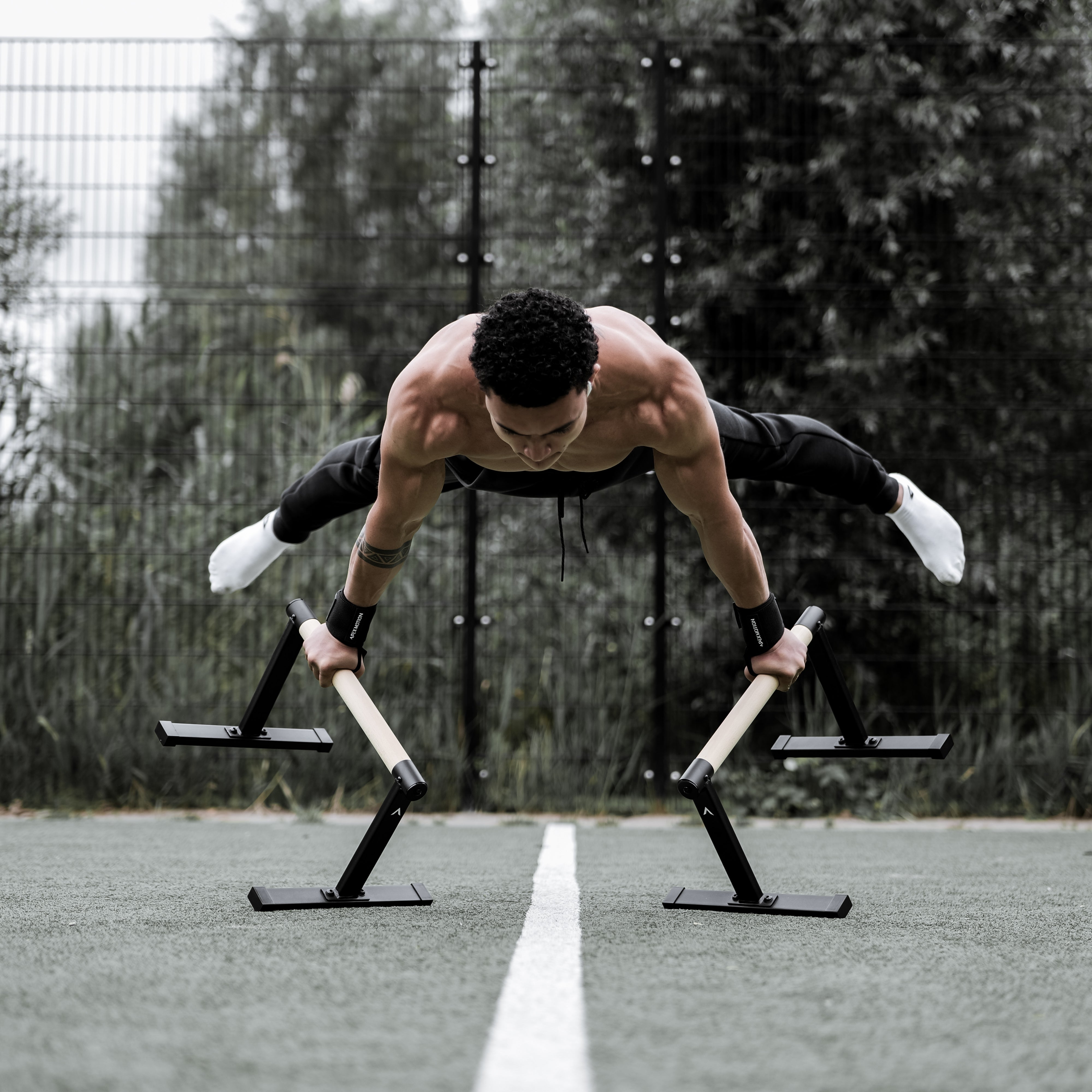 Premium Parallettes Large