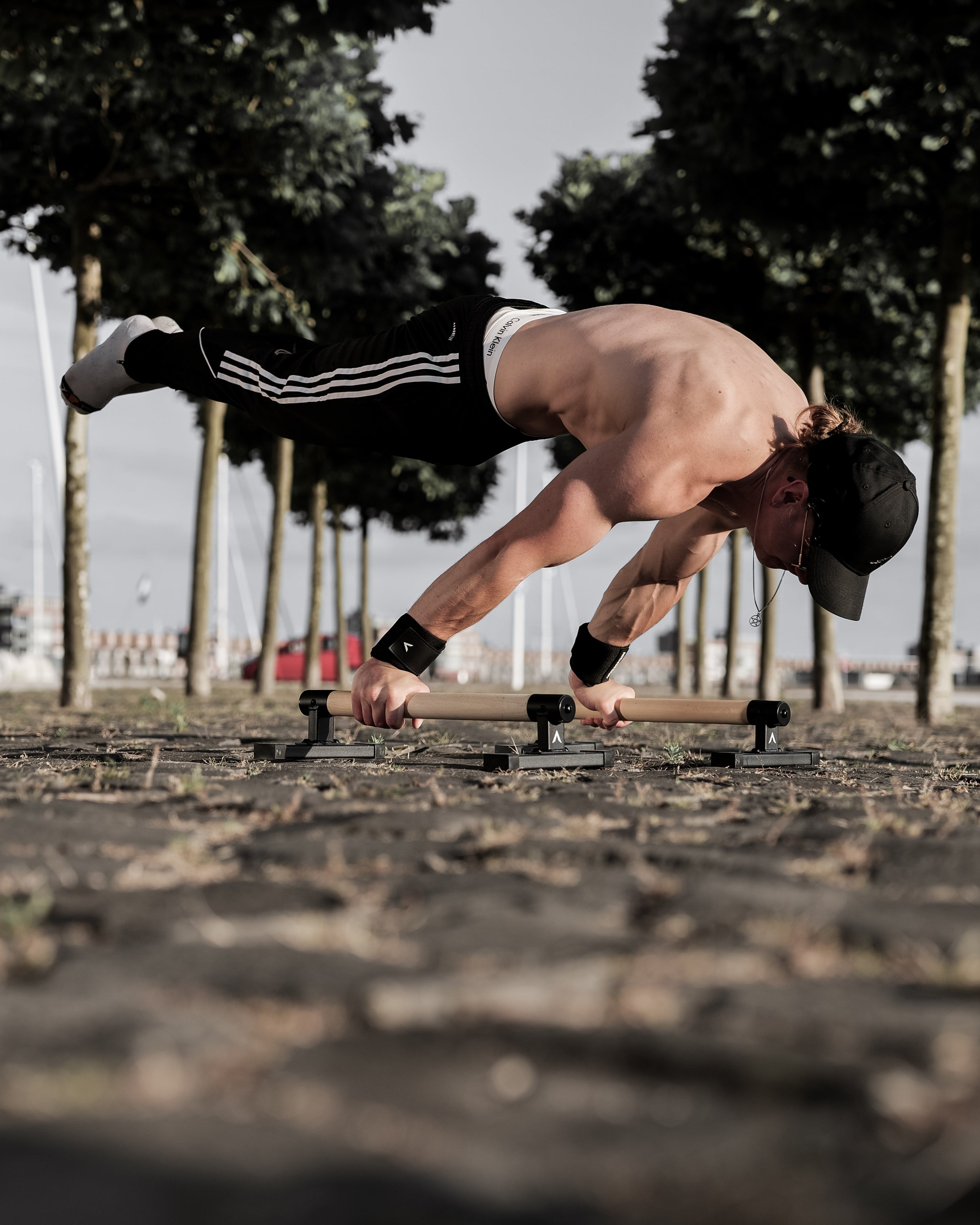 Premium Parallettes Medium