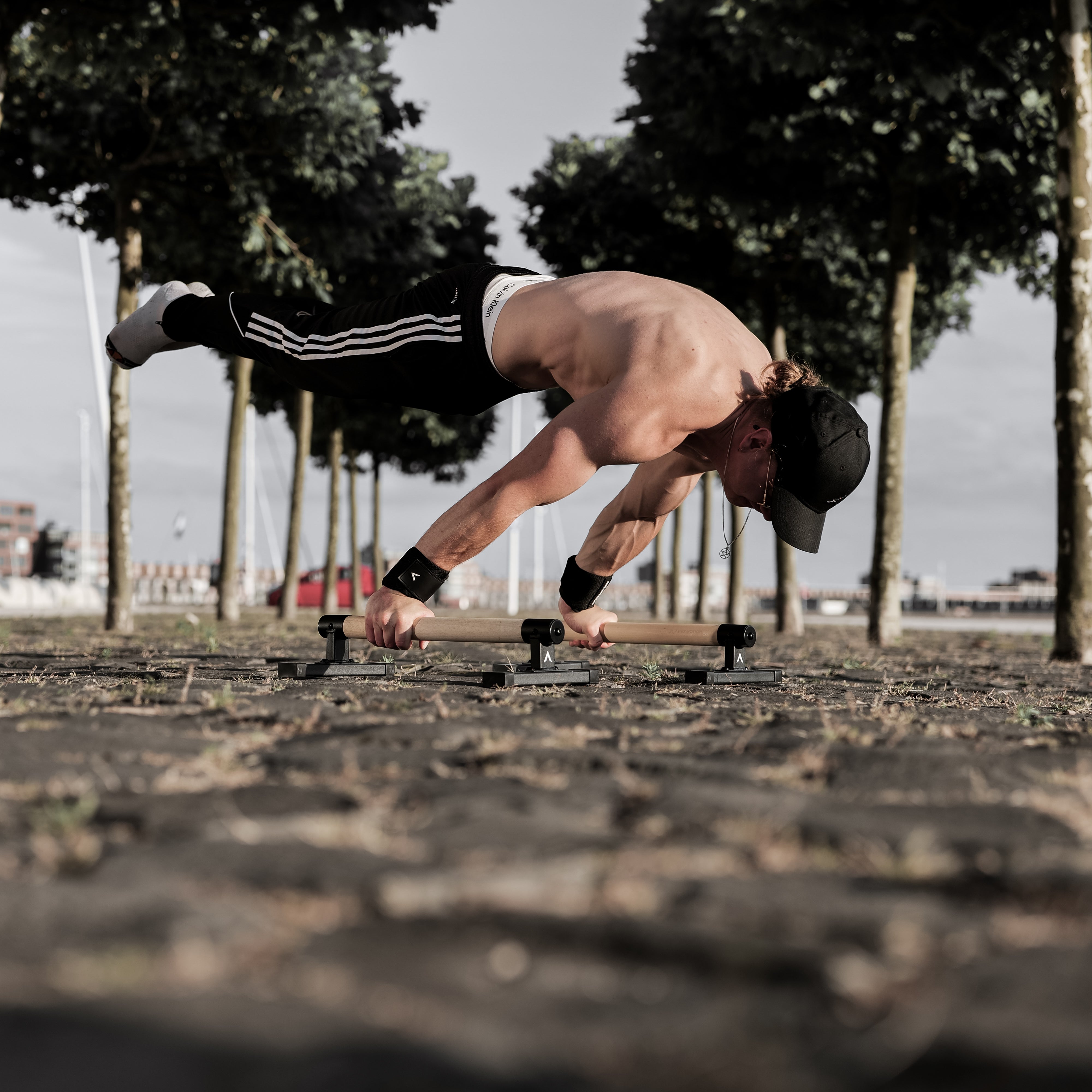 Premium Parallettes Medium