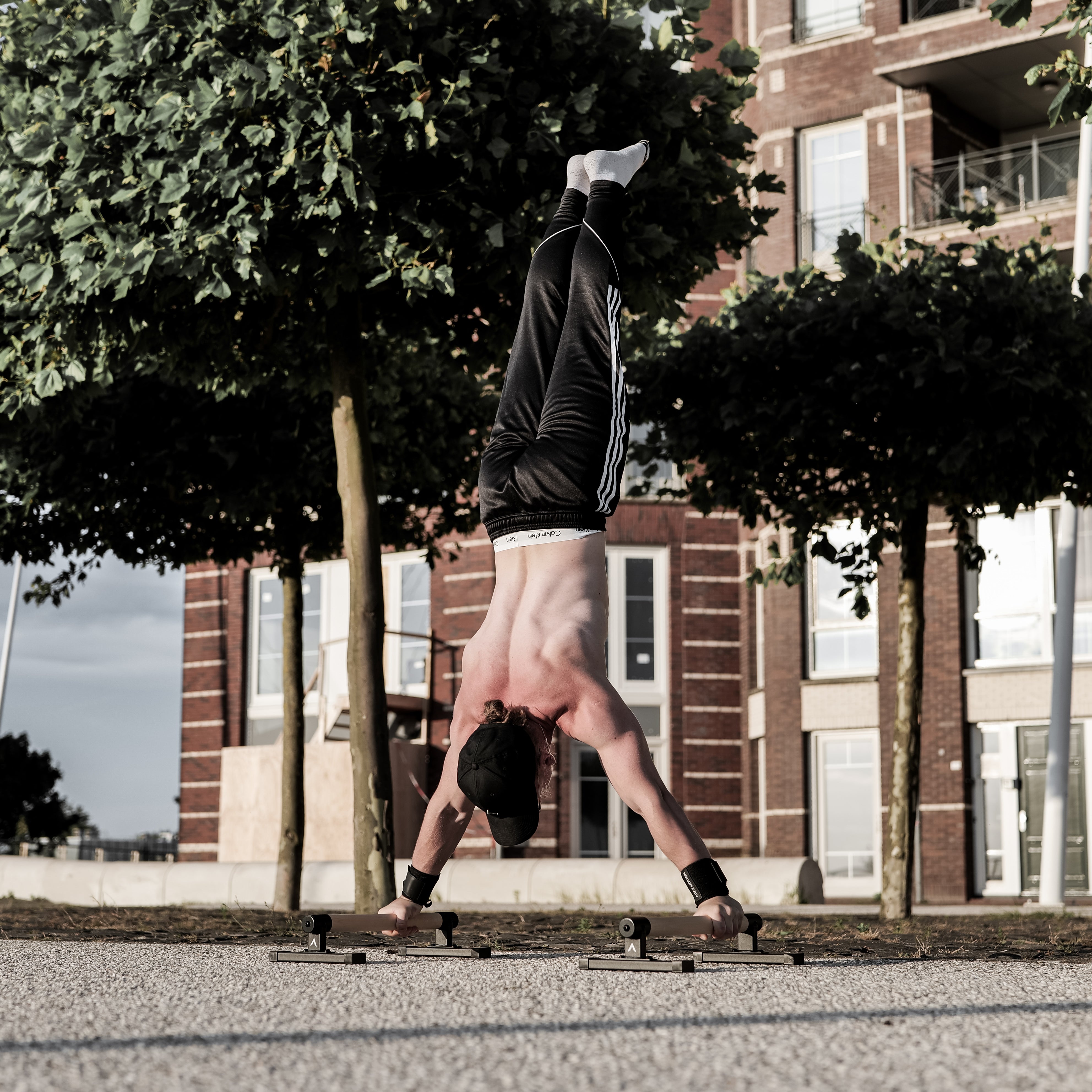 Premium Parallettes Medium