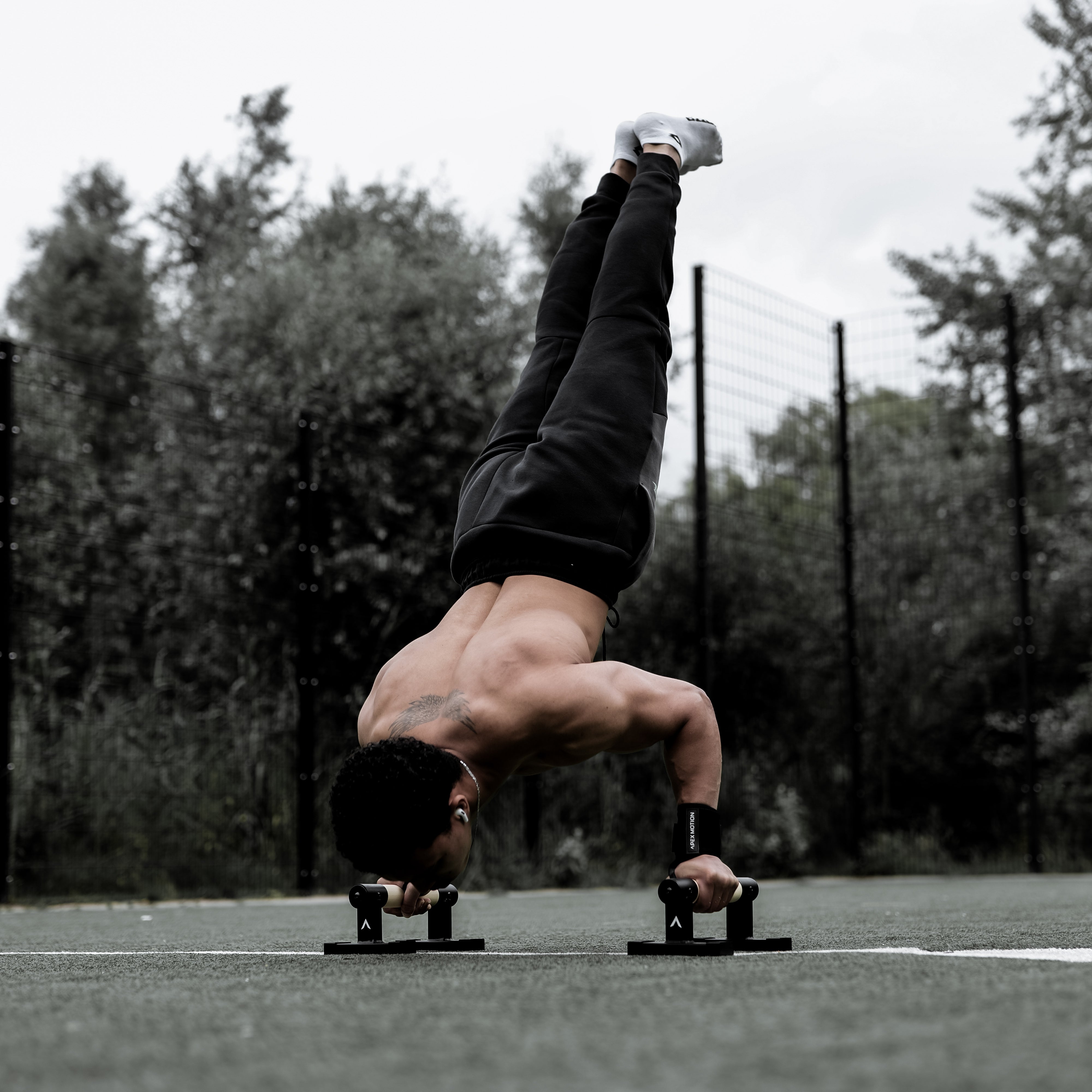 Premium Parallettes Small